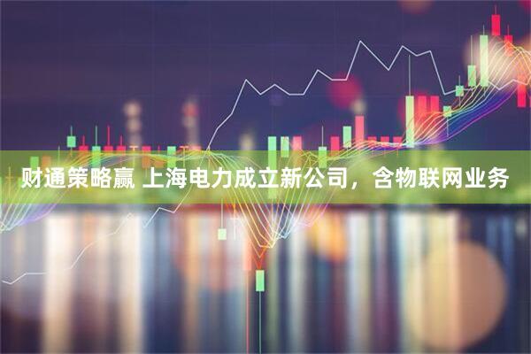 财通策略赢 上海电力成立新公司，含物联网业务